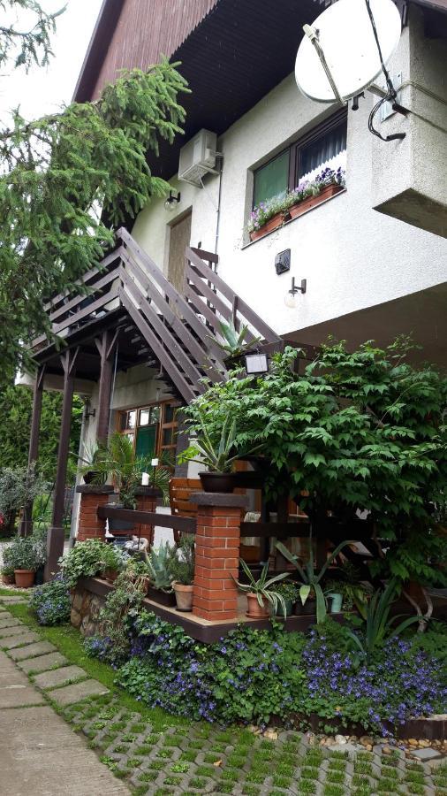 Agave Apartman Веленце Екстериор снимка
