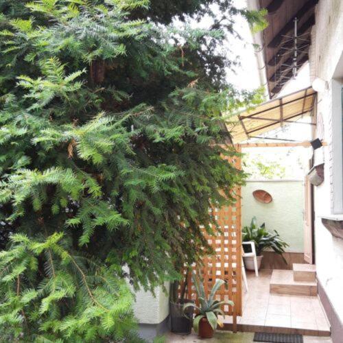 Agave Apartman Веленце Екстериор снимка
